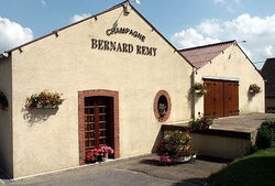Bernard Remy