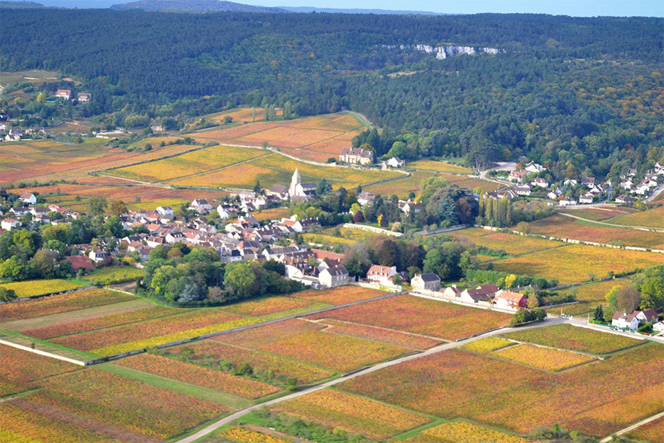 Berthaut-Gerbet
