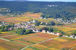 Berthaut-Gerbet