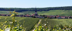 Bertrand-Delespierre Champagne