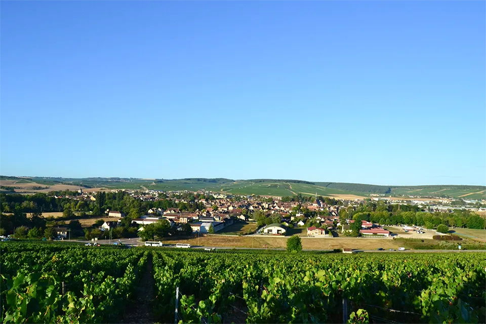 Besson Chablis