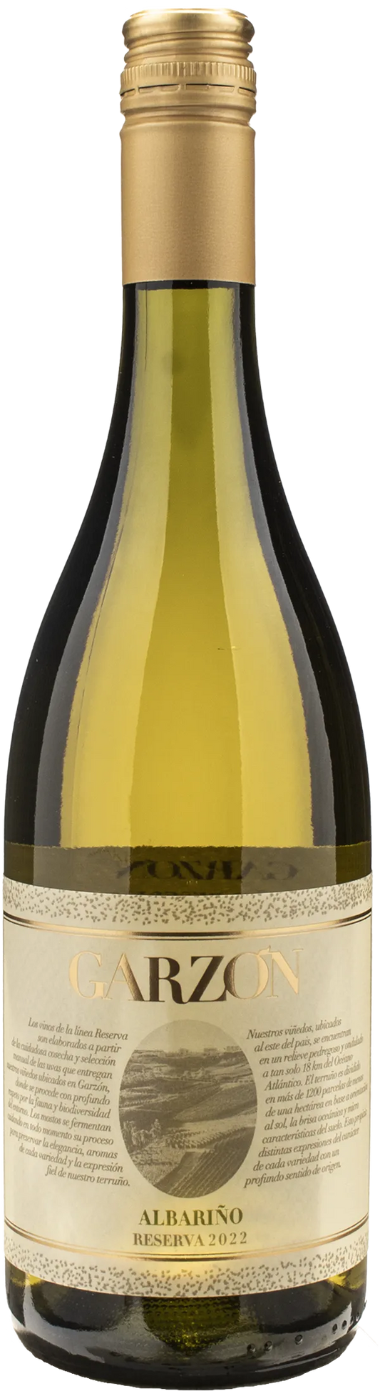 Bodega Garzon Albarino Reserva 2022