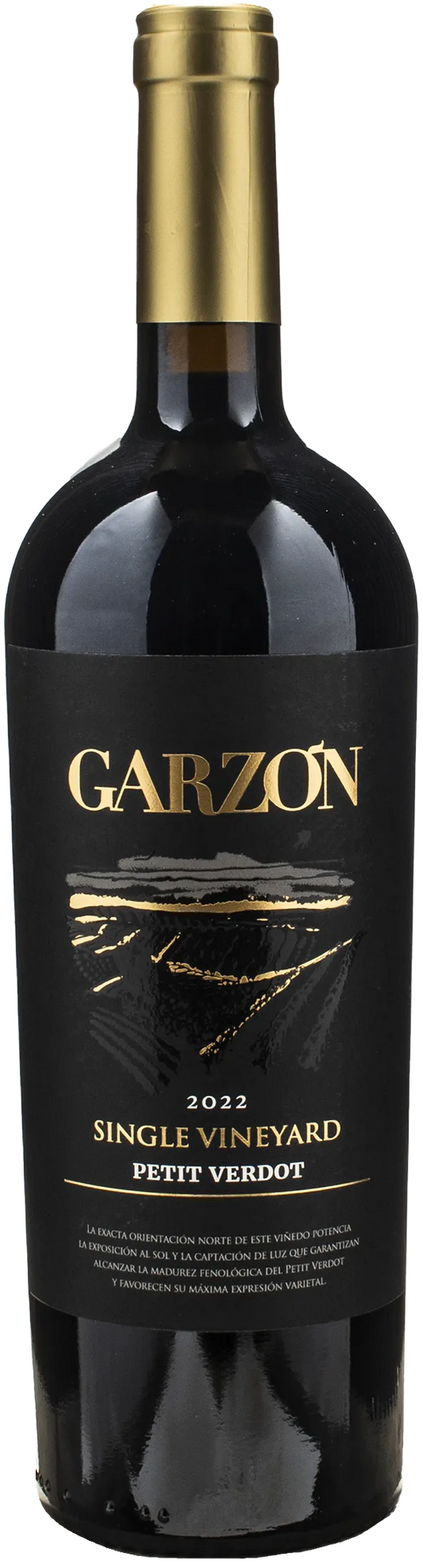 Bodega Garzon Petit Verdot Single Vineyard 2022