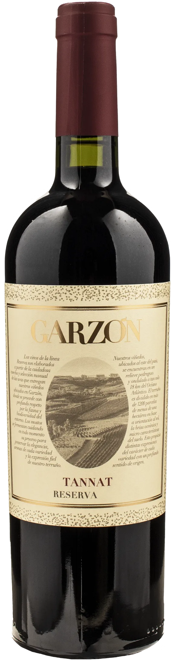 Bodega Garzon Tannat Reserva 2021