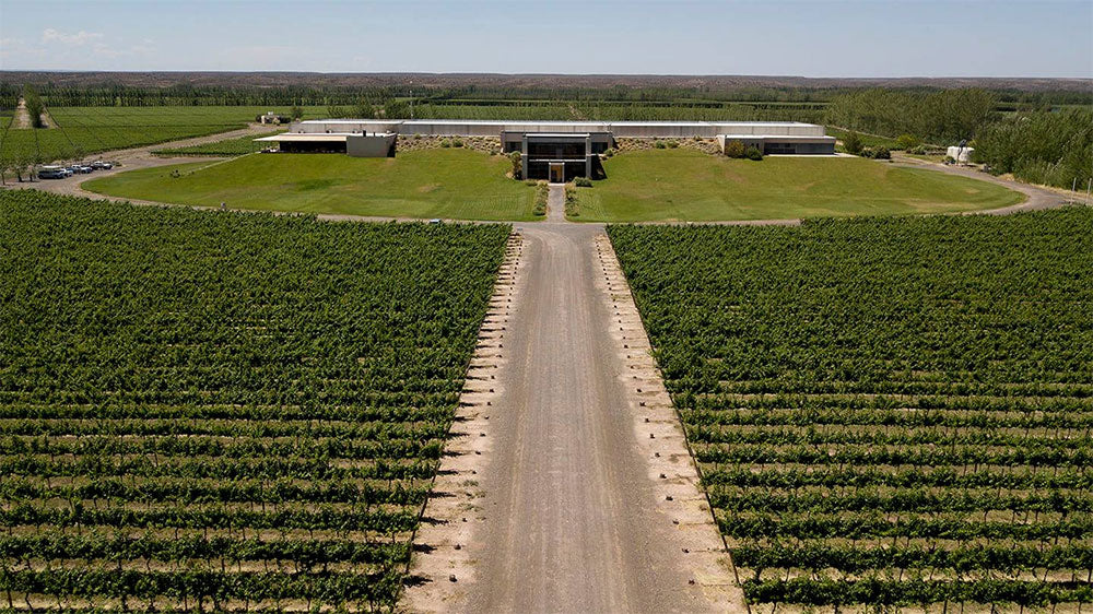 Bodega Malma