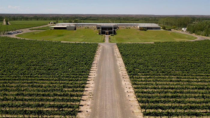 Bodega Malma