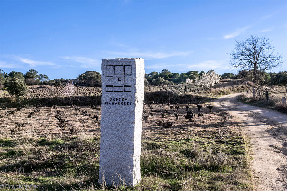 Bodega Marañones
