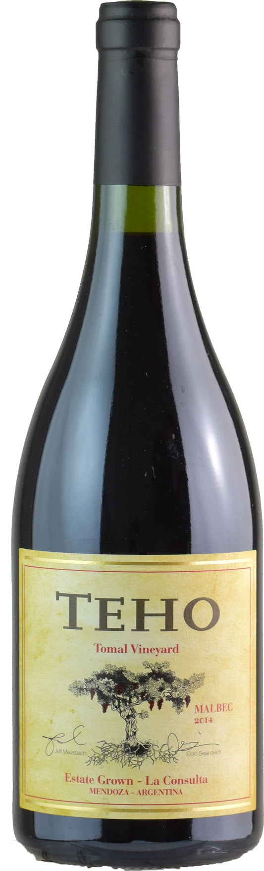 Bodega TintoNegro Teho Malbec 2014