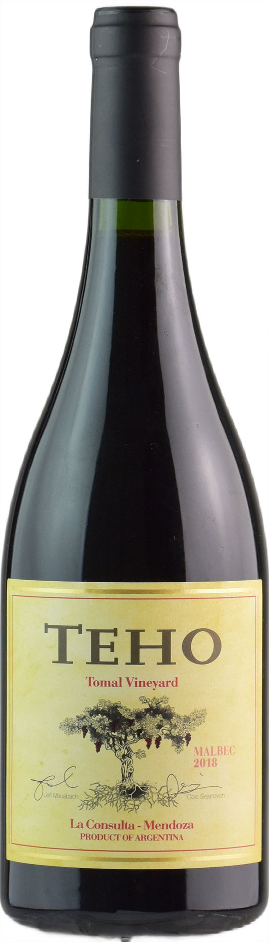 Bodega TintoNegro Teho Malbec 2018