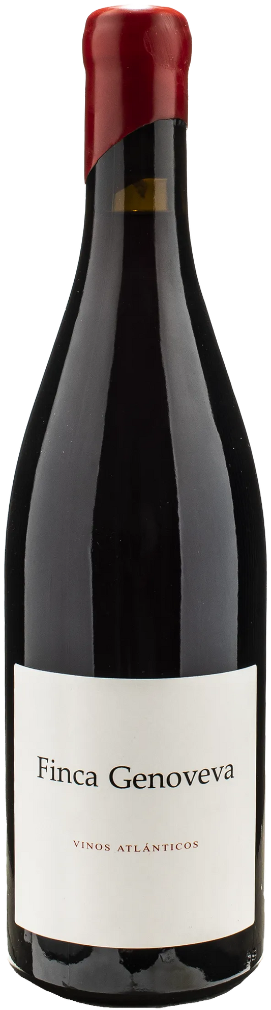 Bodegas Forjas Vinos Atlanticos Goliardo Caino Finca Genoveva 2020