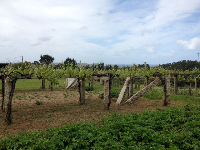 Bodegas Fulcro