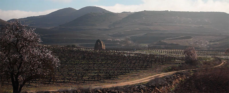 Bodegas Sierra Cantabria