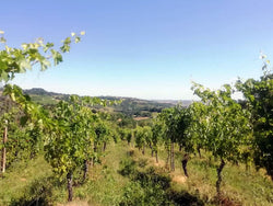 Bonci Vallerosa