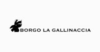Borgo La Gallinaccia logo