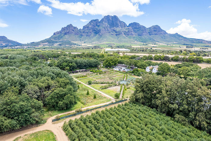 Boschendal 1685