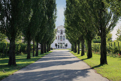 Bosco del Merlo
