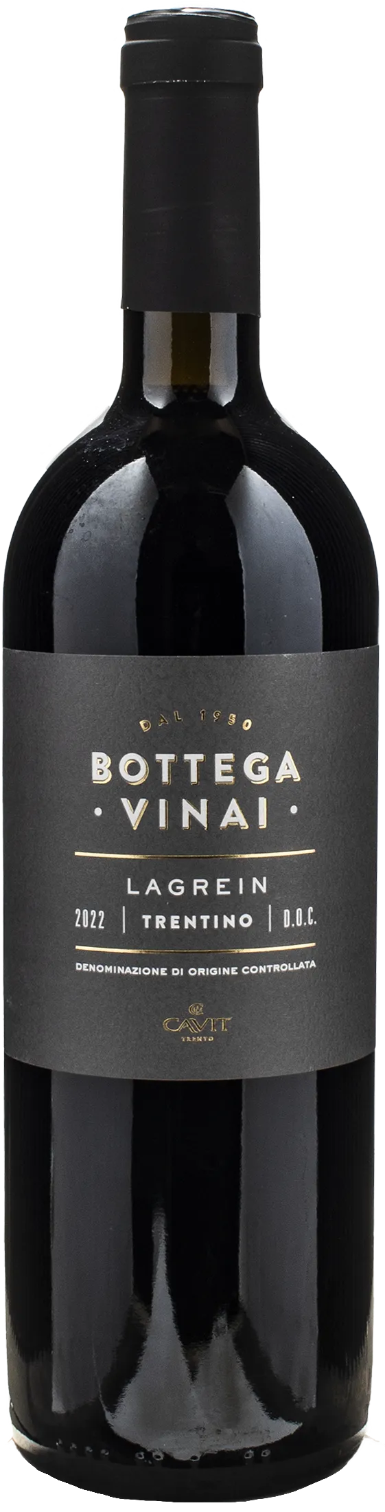 Bottega Vinai Lagrein Trentino 2022