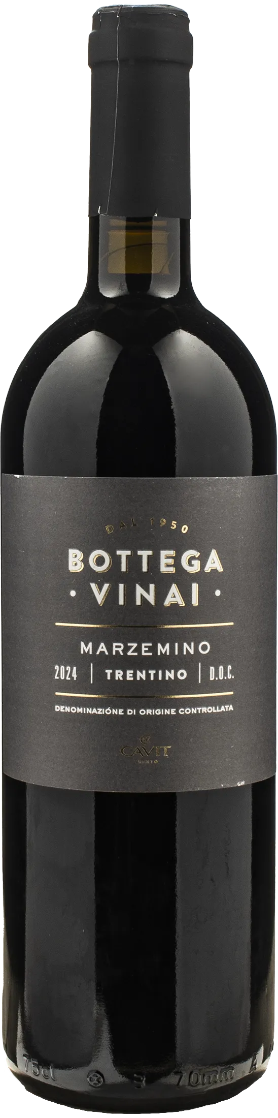 Bottega Vinai Marzemino 2024