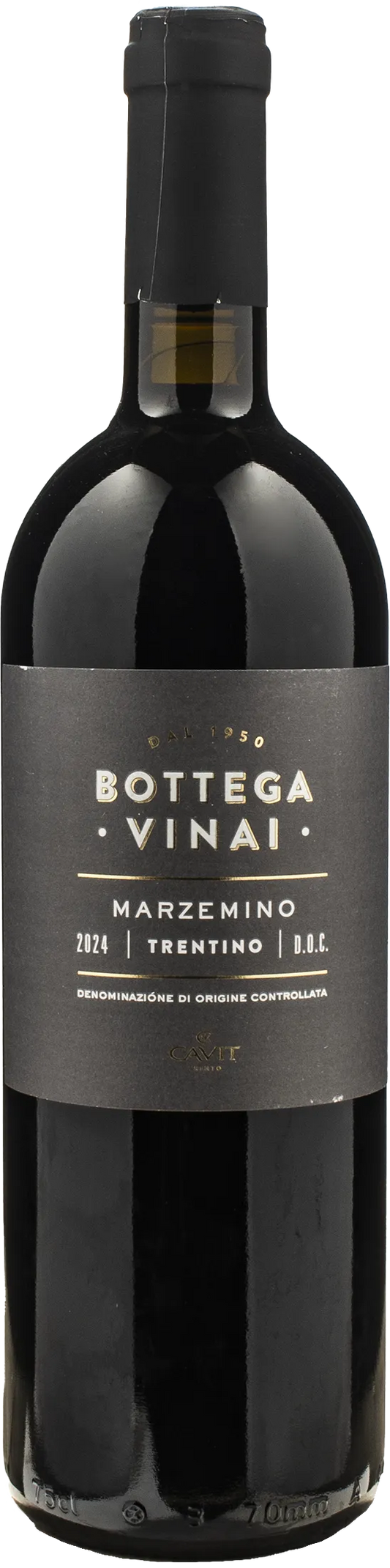 Bottega Vinai Marzemino 2024