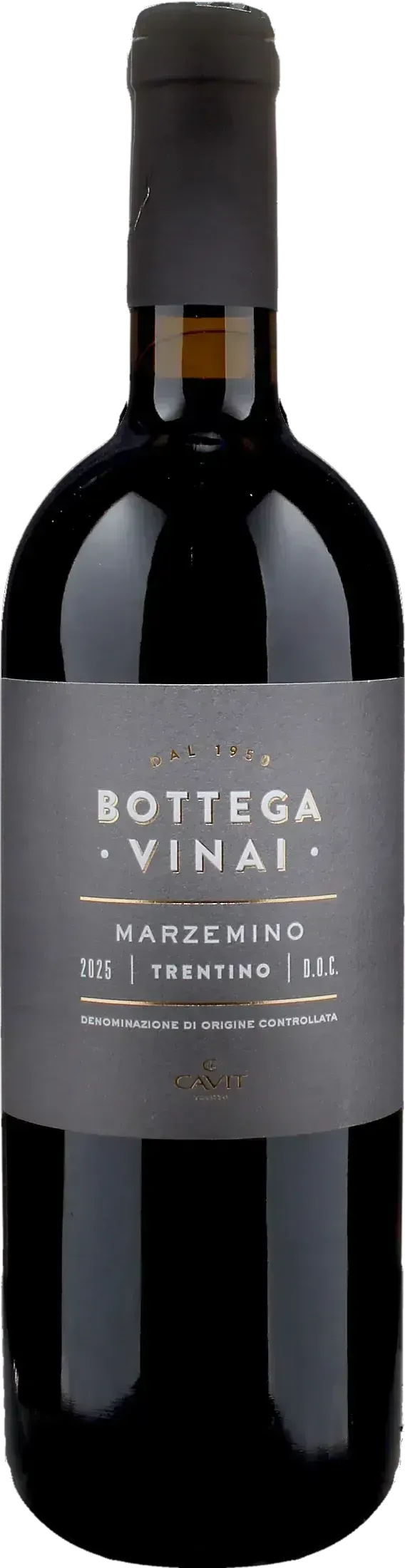 Bottega Vinai Marzemino 2025