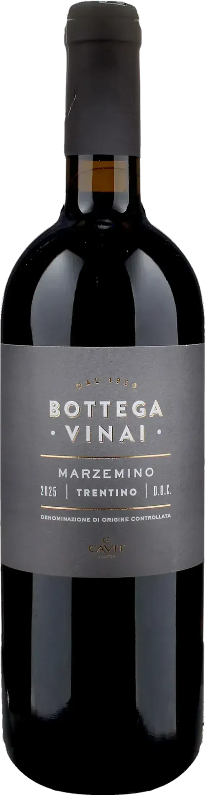 Bottega Vinai Marzemino 2025