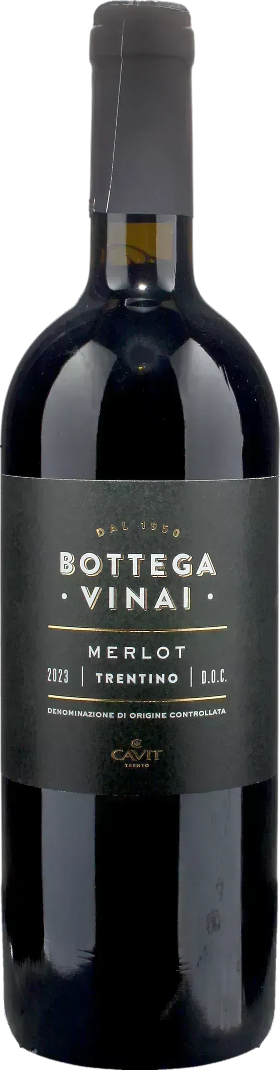 Bottega Vinai Merlot Trentino 2023