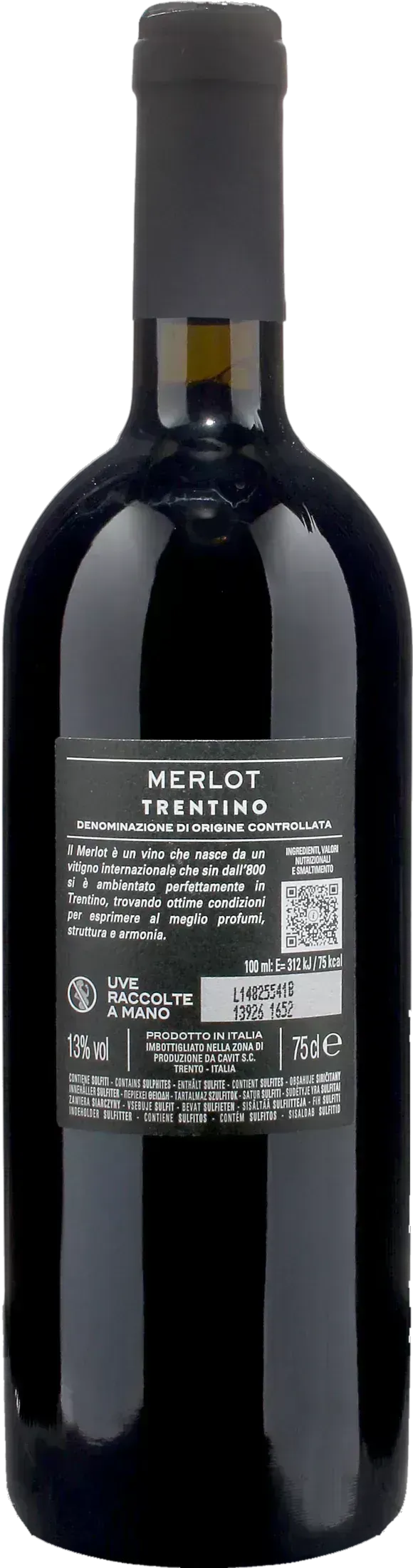 Bottega Vinai Merlot Trentino 2023