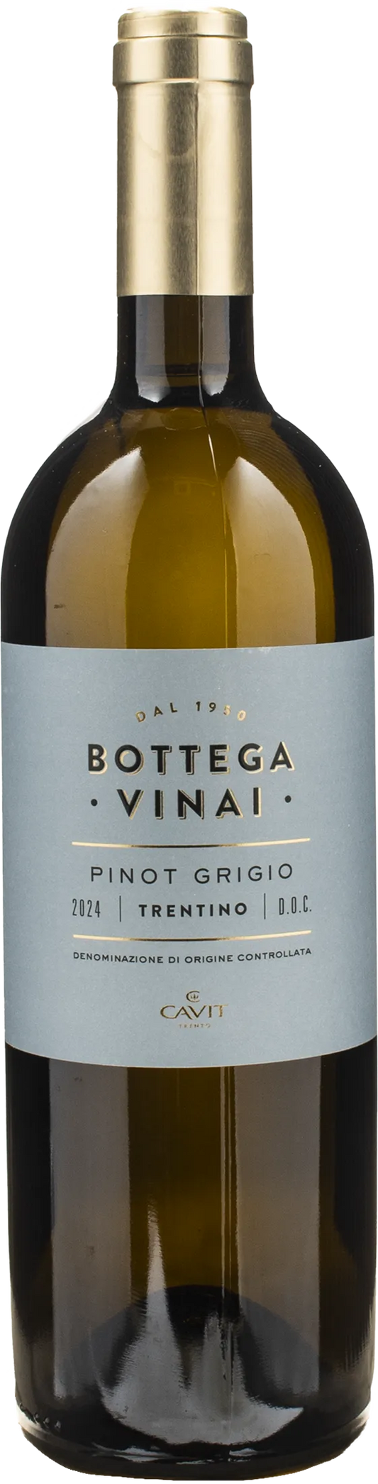 Bottega Vinai Pinot Grigio Trentino 2024