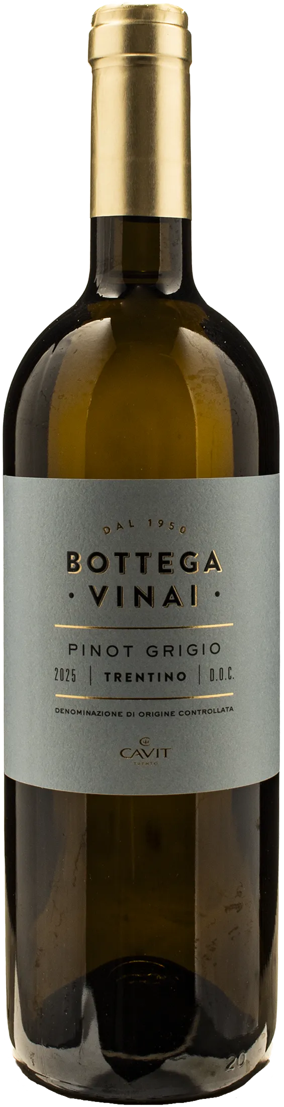 Bottega Vinai Pinot Grigio Trentino 2025