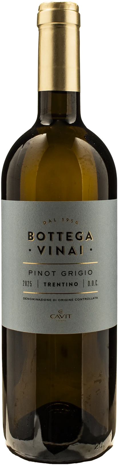 Bottega Vinai Pinot Grigio Trentino 2025