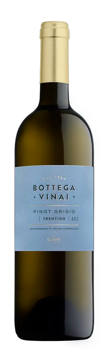 Bottega Vinai Pinot Grigio Trentino 2025