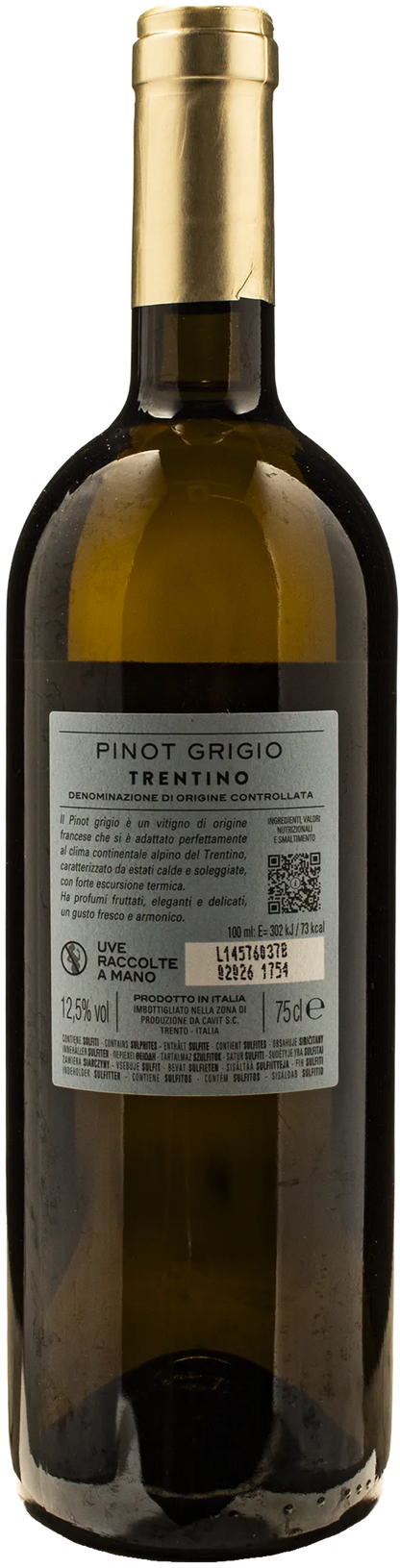 Bottega Vinai Pinot Grigio Trentino 2025