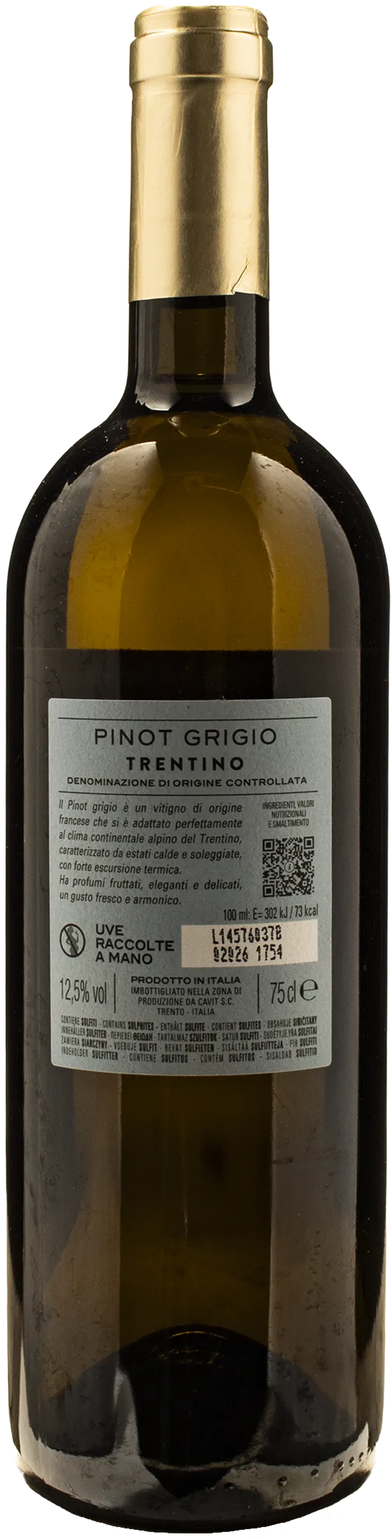Bottega Vinai Pinot Grigio Trentino 2025