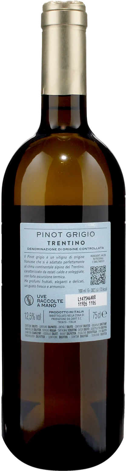 Bottega Vinai Pinot Grigio Trentino 2025