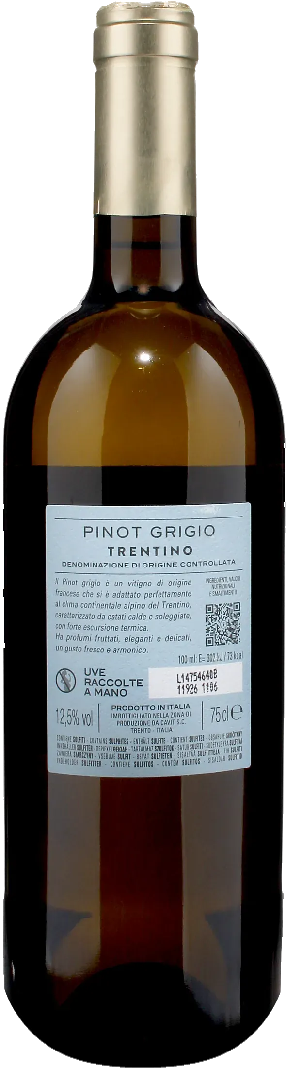 Bottega Vinai Pinot Grigio Trentino 2025