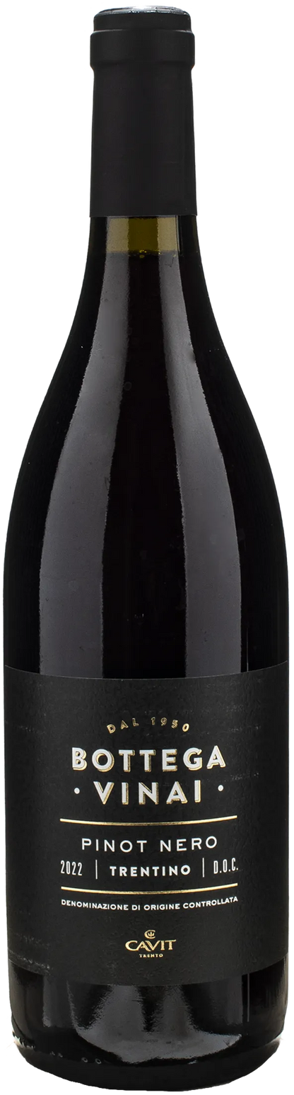 Bottega Vinai Pinot Nero Trentino 2022