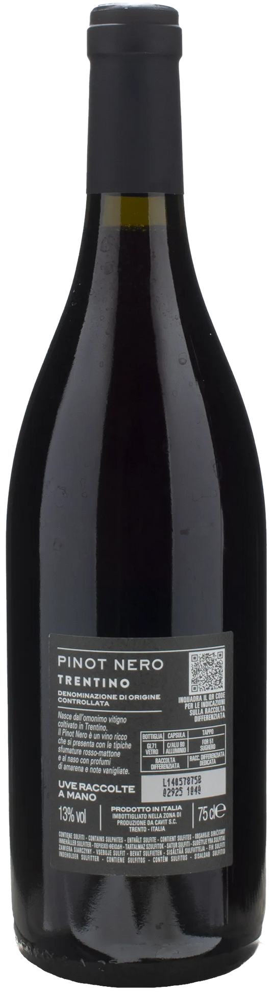 Bottega Vinai Pinot Nero Trentino 2022