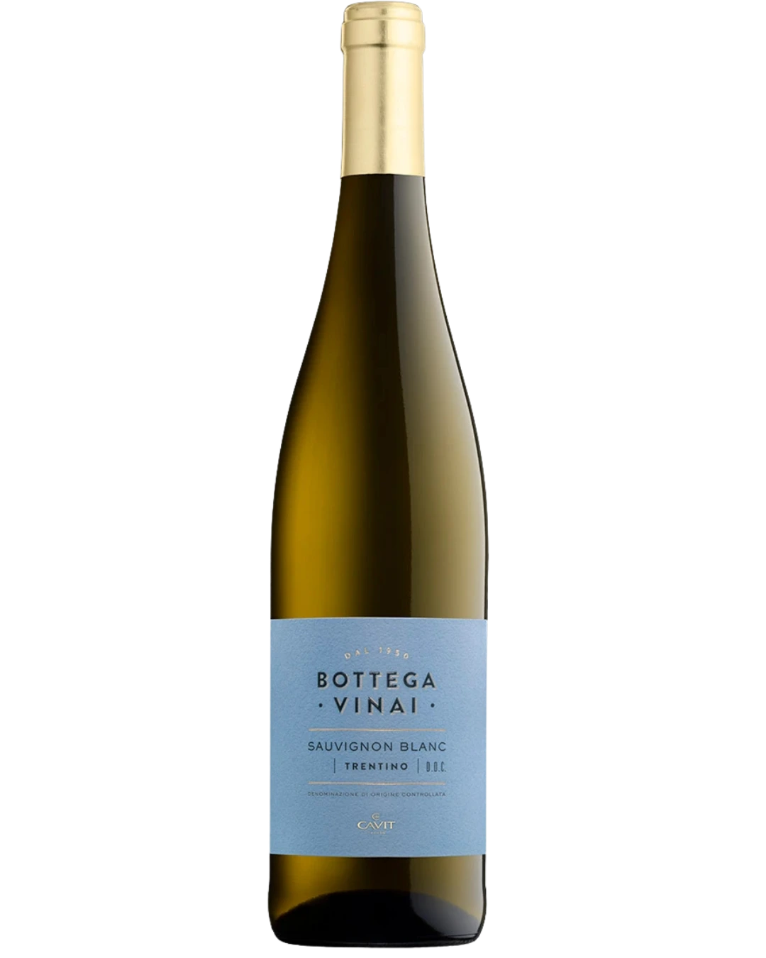 Bottega Vinai Sauvignon Blanc Trentino 2024