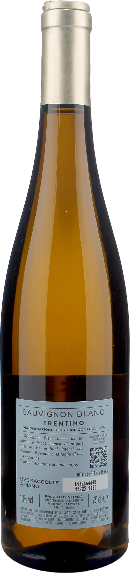 Bottega Vinai Sauvignon Blanc Trentino 2024