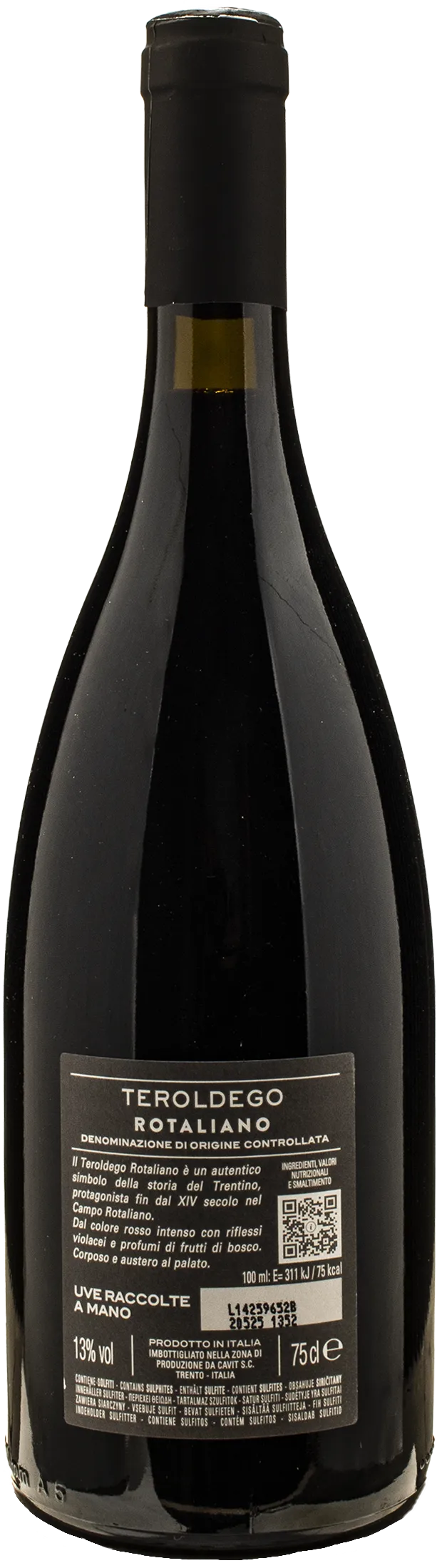 Bottega Vinai Teroldego Rotaliano 2023