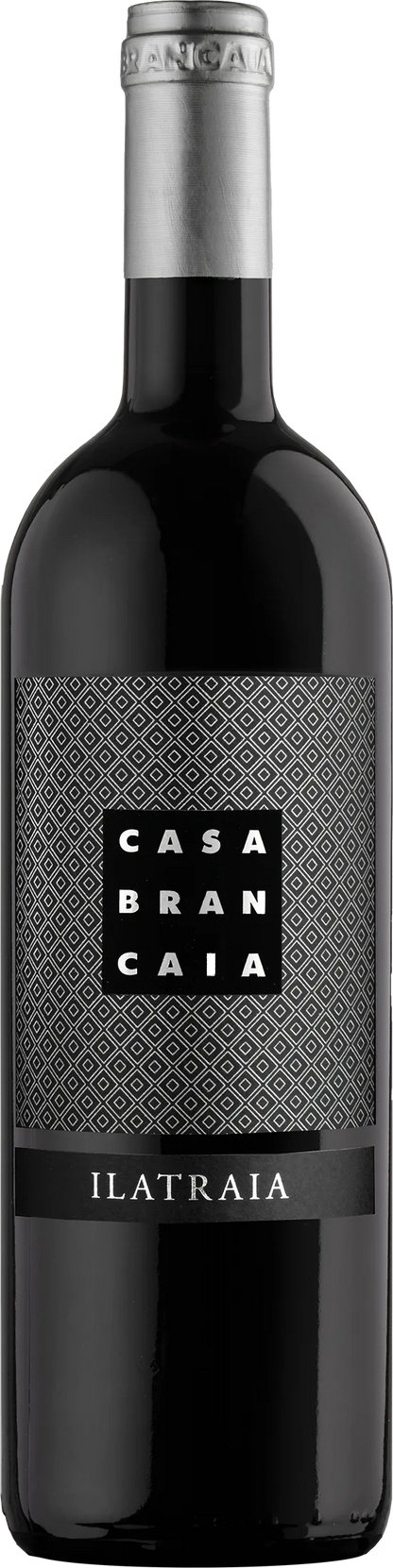 Brancaia Ilatraia 2008