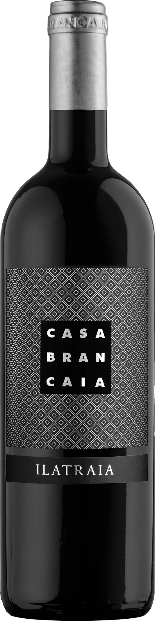 Brancaia Ilatraia 2008