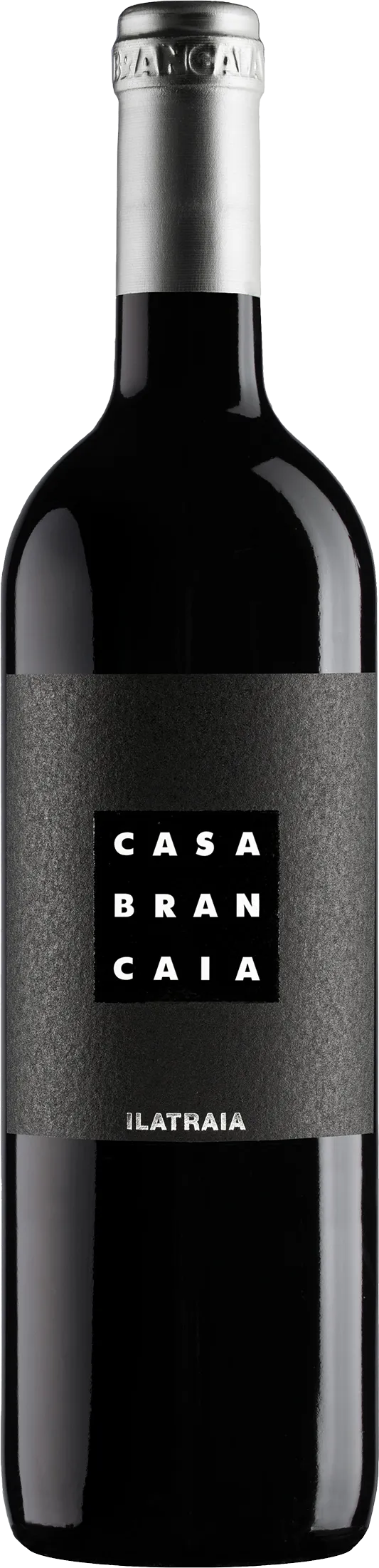 Brancaia Ilatraia 2020