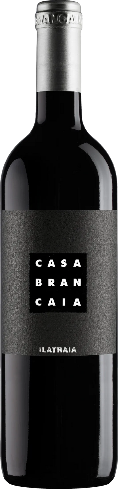 Brancaia Ilatraia 2020