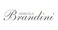 Brandini logo