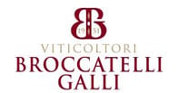 Broccatelli Galli logo