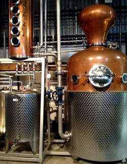 Brooklyn Gin