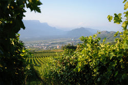 Brunnenhof Mazzon