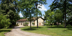 Bruno Michel Champagne