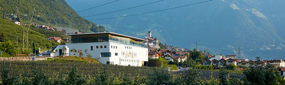 Burggrafler